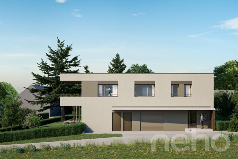 Appartamento con grande giardino e terrazza (7)