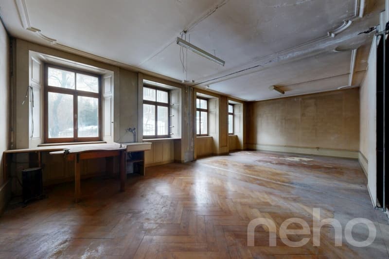 Rendite ? 400 m² Wohnfläche, großes Potenzial, ideale Lage (1)