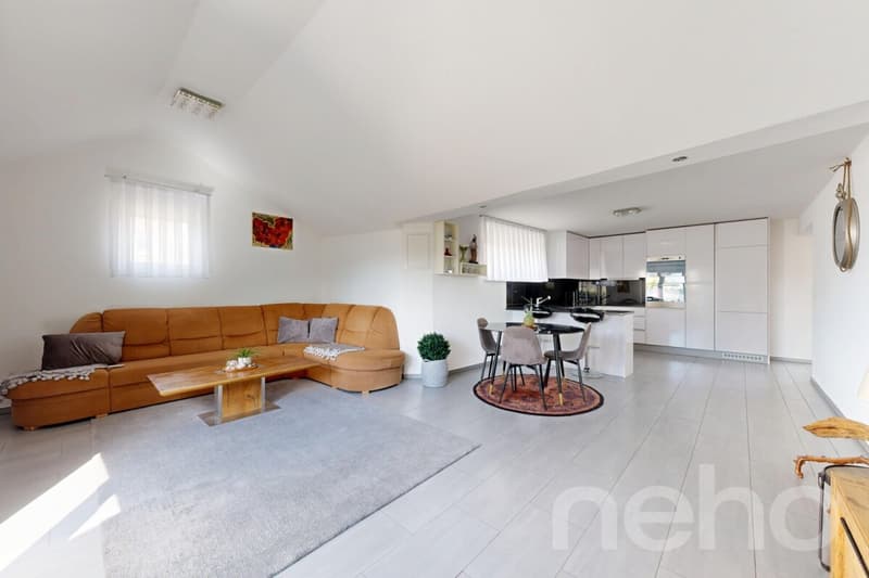 Magnificent 5.5-room duplex in Mex (2)
