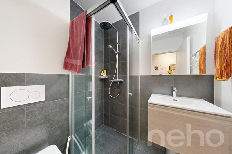 Modern apartment in idyllic Gurzelen (11)