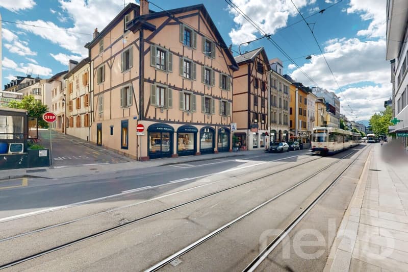 Tra Villereuse e Terrassière - Edificio con fascino architettonico (11)
