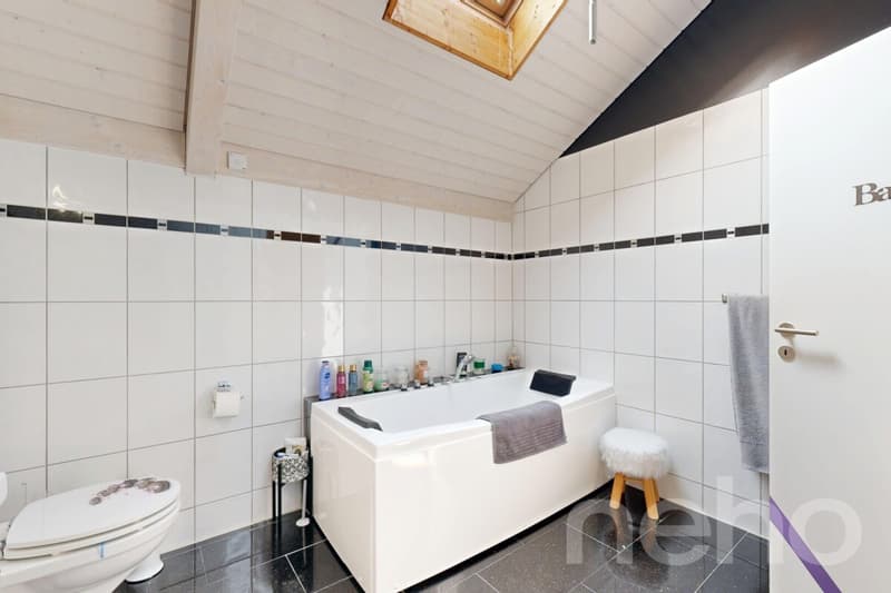 Splendid Villa with pool in Orbe (10)