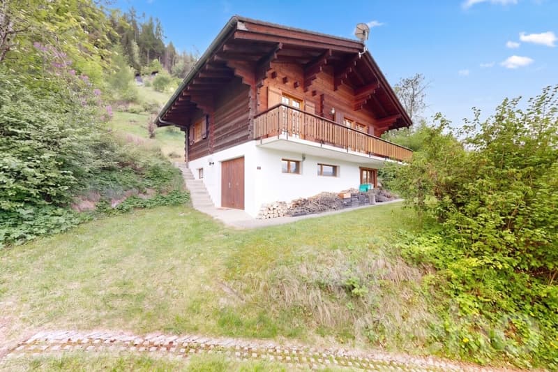 Authentic log cabin on the heights of Grône (5)