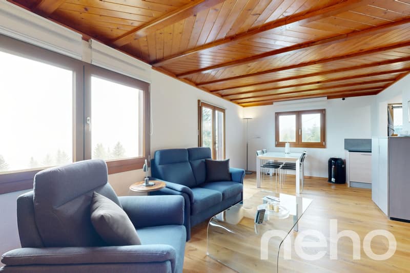 Beautiful chalet and its private studio - Les Giettes (7)