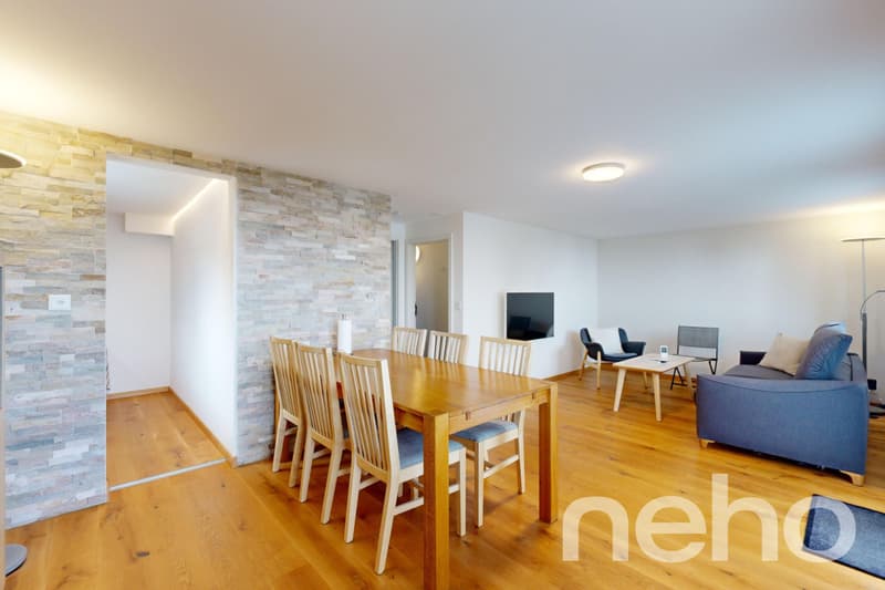 Beautiful chalet and its private studio - Les Giettes (11)