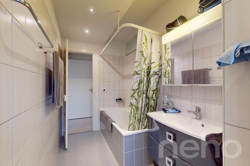 Attractive multi-family house with development potential in Dietikon (11)