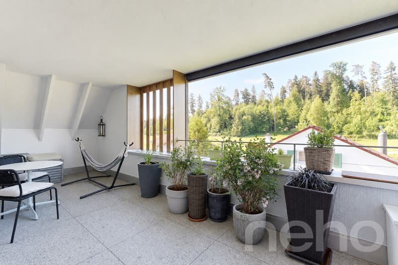 Appartement-maisonnette de luxe 3.5 pièces en duplex (3)