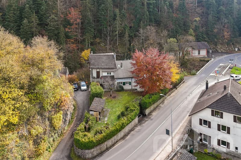 Prime location Home with 2 units, large garden and forest views (12)