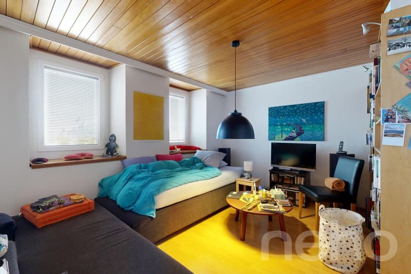 Le Pont: Property on the quays with garden and underground parking (7)