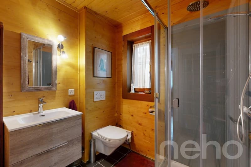 Splendid wooden house just two steps from the lake (11)