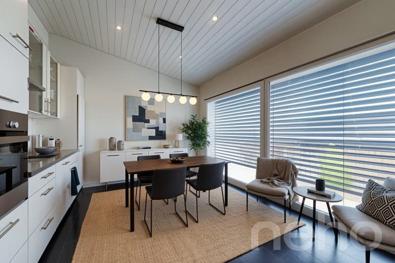 Charming house with two apartments! (8)