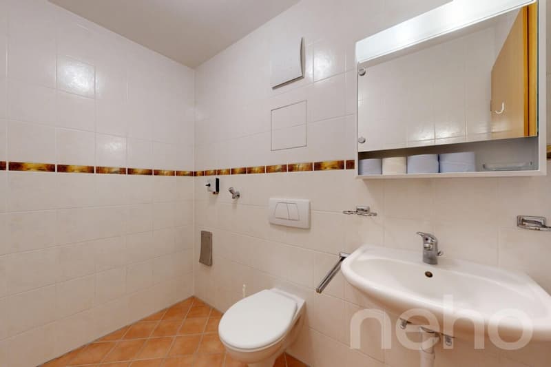 Bel appartement de 4,5 pièces avec vue panoramique au c?ur de Bursins (11)