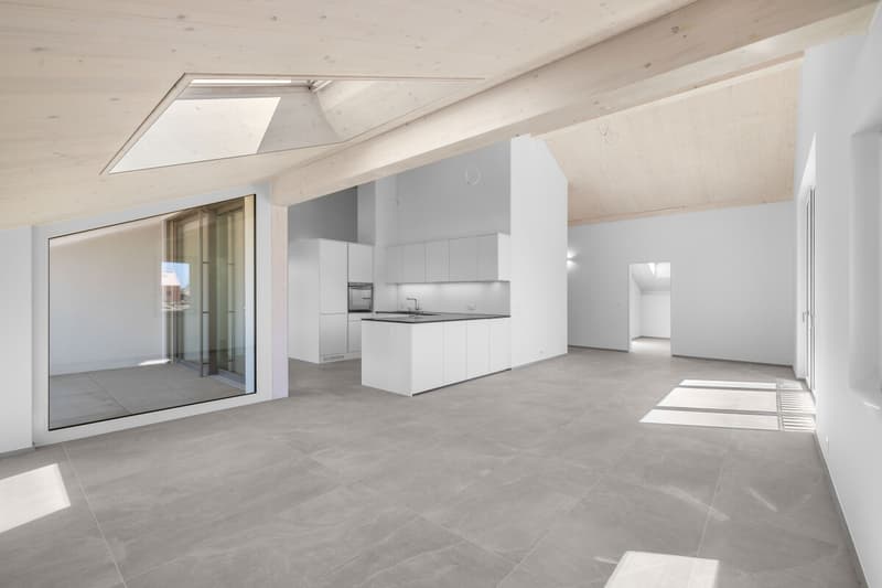 Modern 5.5-room attic apartment with mountain view in Bonaduz (3)