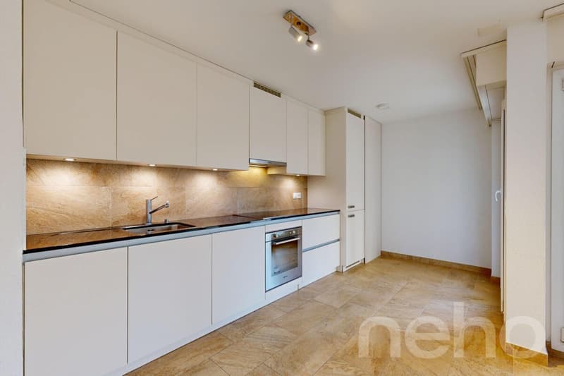 Wunderschönes 3,5-Zimmer-Apartment mit großer privater Terrasse (4)