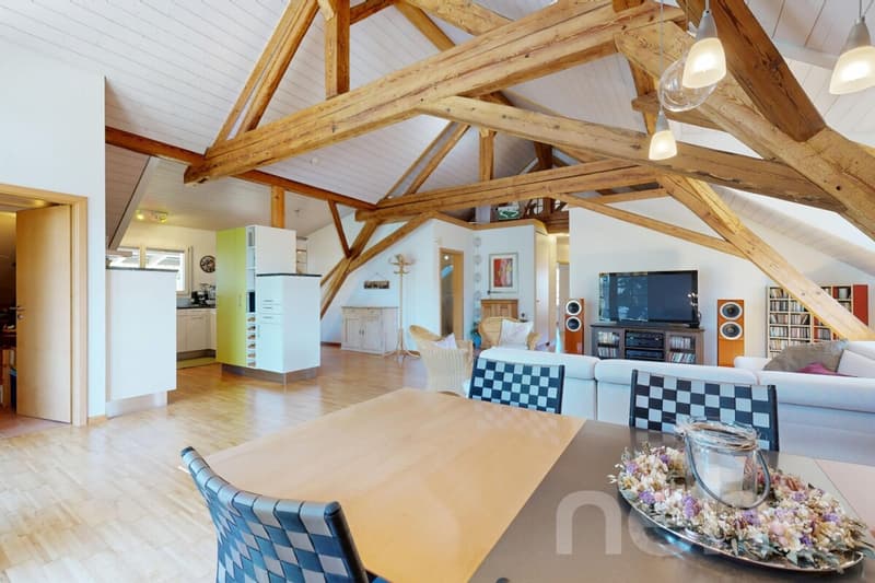 Appartement mansardé charmant et spacieux avec grand balcon (4)