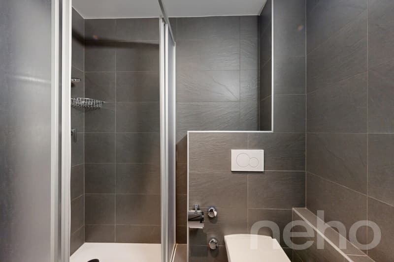 Superbe studio rénové à Crans-Montana (5)