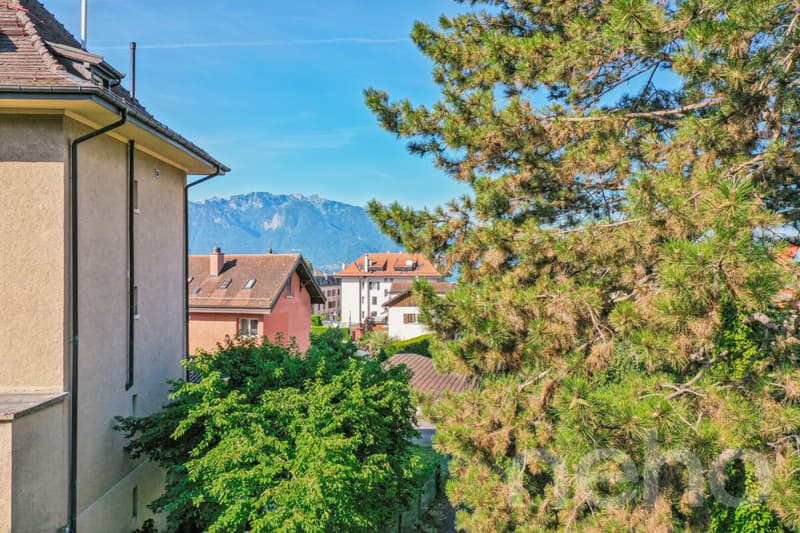 Neue Wohnung mit großer sonniger Terrasse (10)