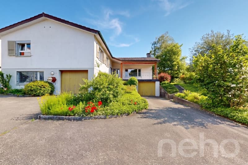 Single-family house with separate studio (1)