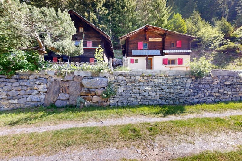 Renovated mayen along a private path Savièse/Sanetsch easy to access (10)