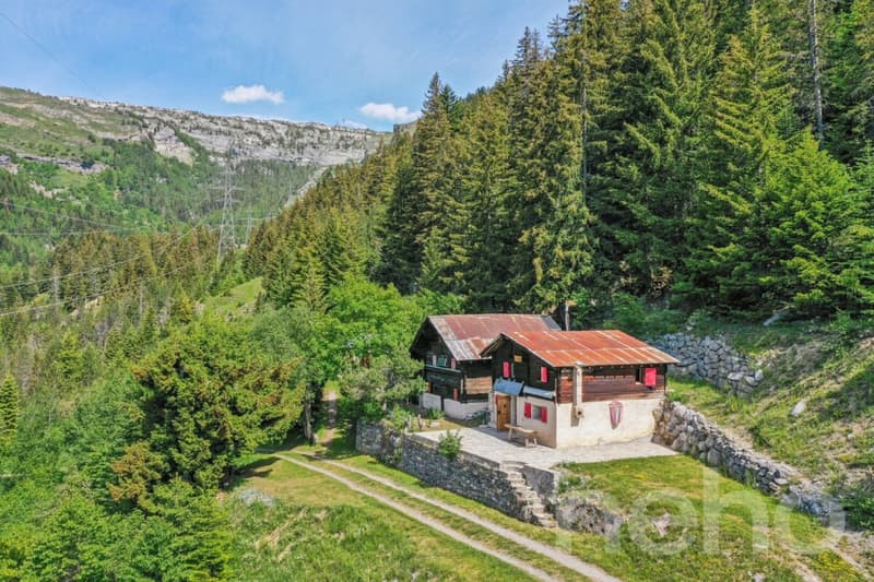 Renovated mayen along a private path Savièse/Sanetsch easy to access (3)