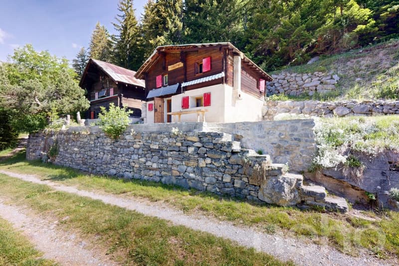 Renovated mayen along a private path Savièse/Sanetsch easy to access (8)