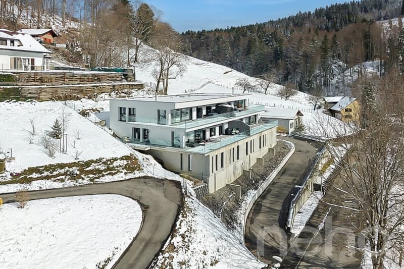 Living with a view, stylish terrace apartment in Plasselb (3)