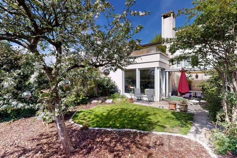 Charming semi-detached house with sunny garden in Unterengstringen (1)