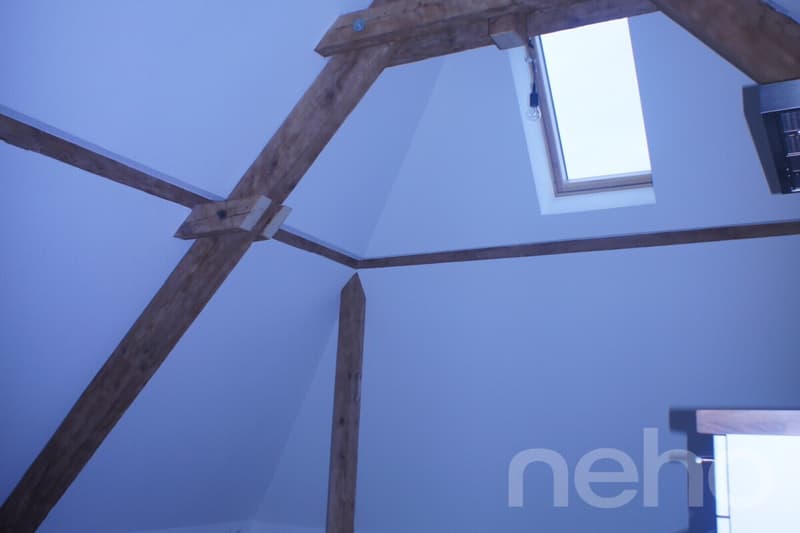 Charming studio with visible wooden beams at Wettsteinplatz (5)