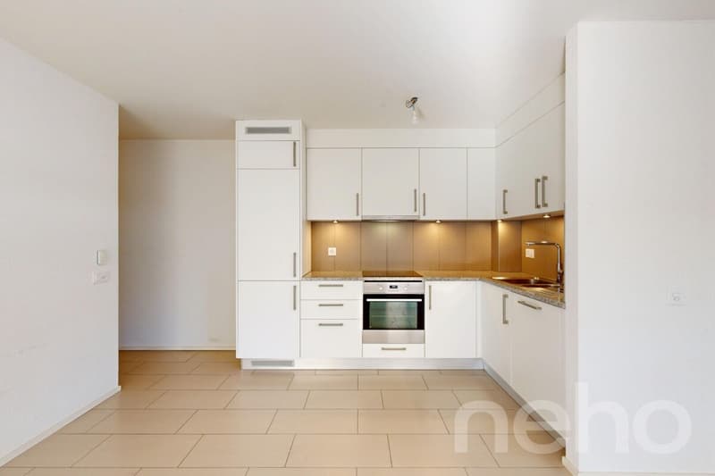 Beautiful 5.5 rooms with terrace in the center of Crassier (4)