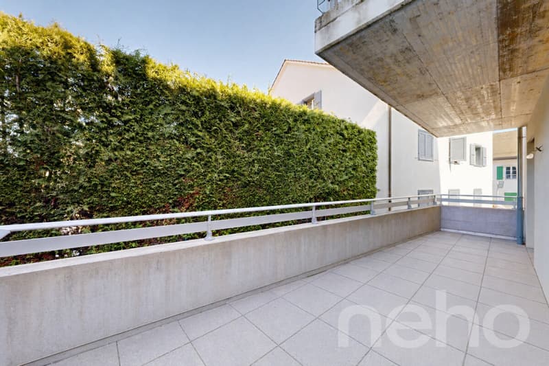 Beautiful 5.5 rooms with terrace in the center of Crassier (11)