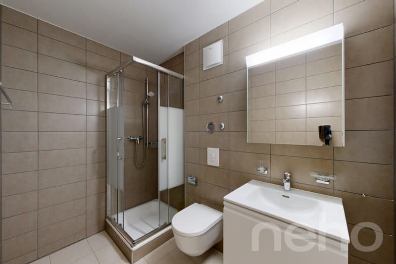 Beautiful 5.5 rooms with terrace in the center of Crassier (9)