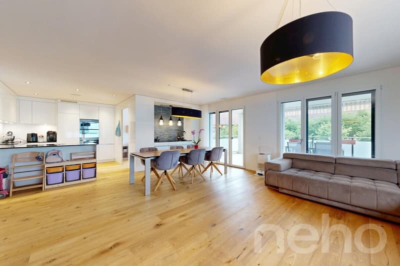 Modern 5-room apartment with large balcony in Boswil (1)