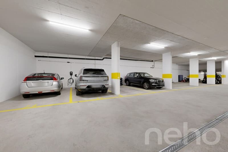 Modern 5-room apartment with large balcony in Boswil (12)