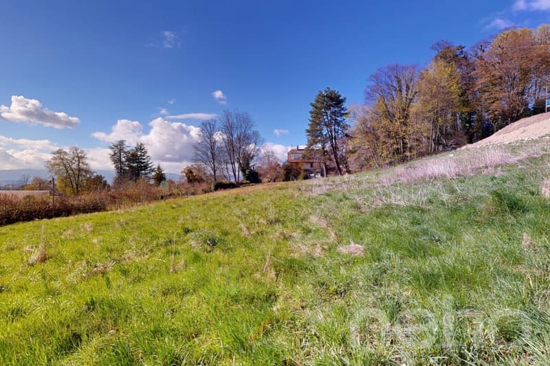 PARCELLE UNIQUE EN LISIÈRE DE FORÊT AUX PORTES DE LAUSANNE (7)