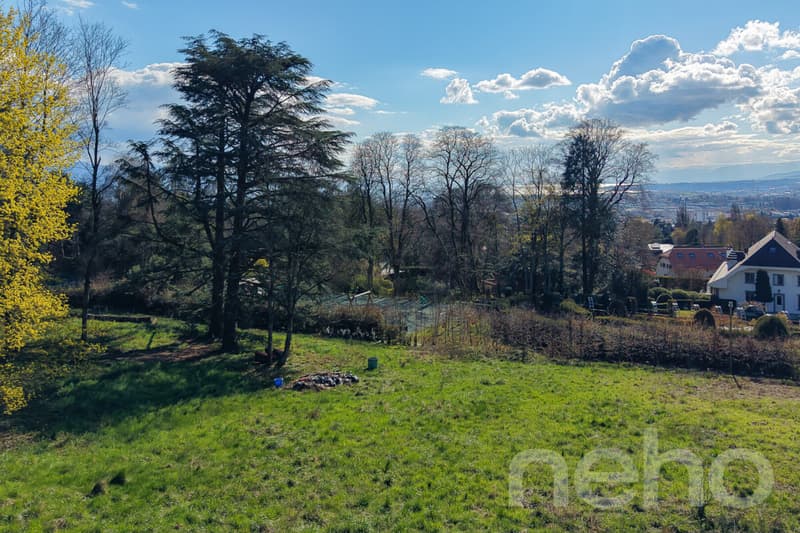 PARCELLE UNIQUE EN LISIÈRE DE FORÊT AUX PORTES DE LAUSANNE (11)
