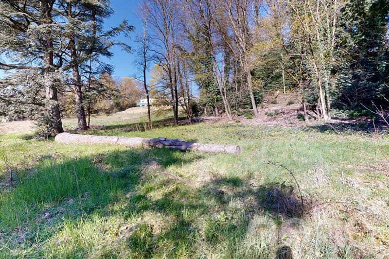 PARCELLE UNIQUE EN LISIÈRE DE FORÊT AUX PORTES DE LAUSANNE (9)