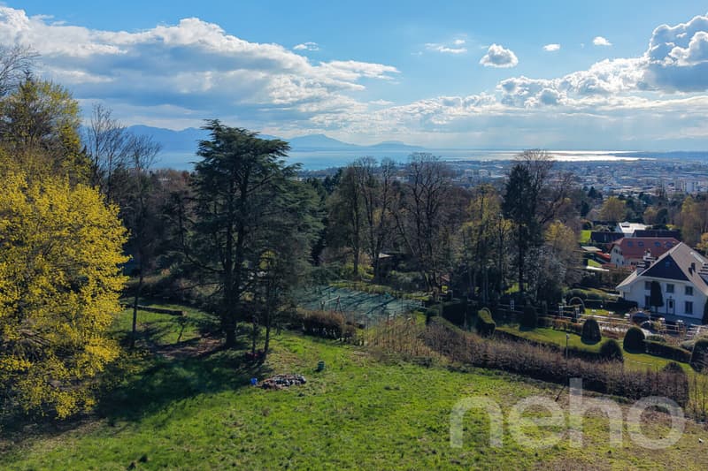 PARCELLE UNIQUE EN LISIÈRE DE FORÊT AUX PORTES DE LAUSANNE (1)