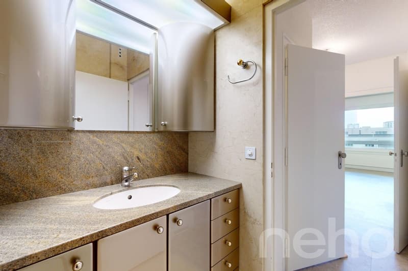 Grand duplex familial de 7 pièces au c?ur de Thônex (10)