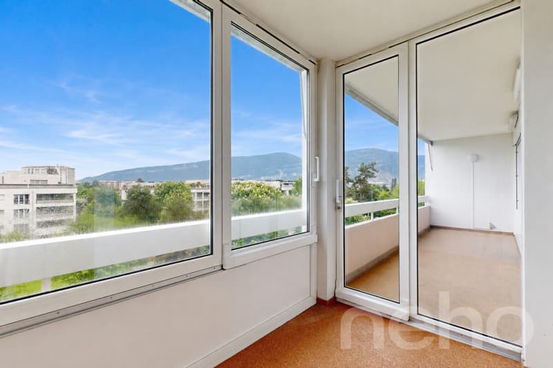 Grand duplex familial de 7 pièces au c?ur de Thônex (11)