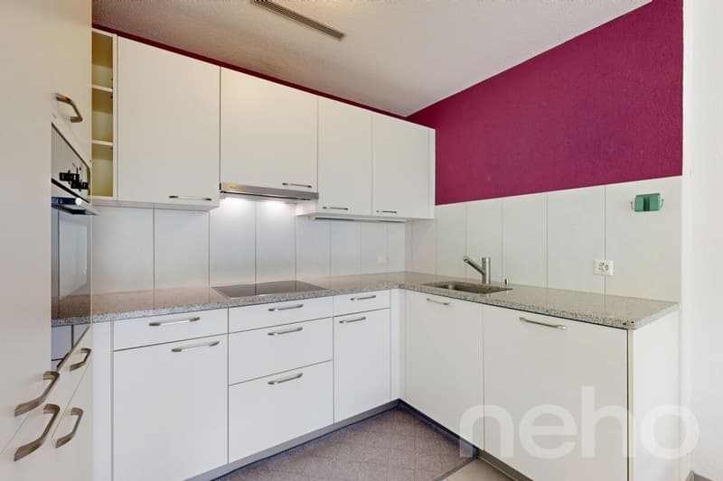 Appartement de jardin de 3,5 pièces de première classe (4)