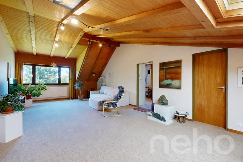 Spacious 7.5-room single-family house with garden idyll in Dornach (10)