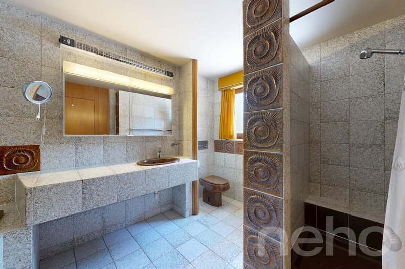 Spacious 7.5-room single-family house with garden idyll in Dornach (9)