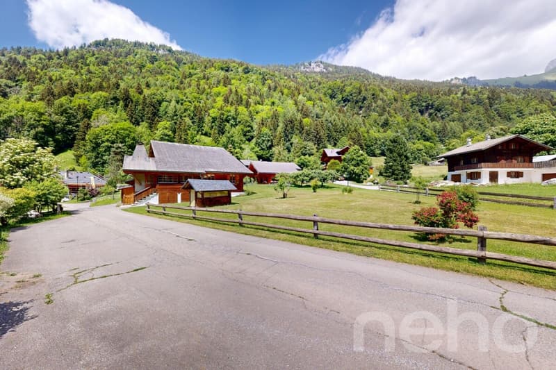 Chalet di carattere: giardino bucolico e potenziale raro (1)