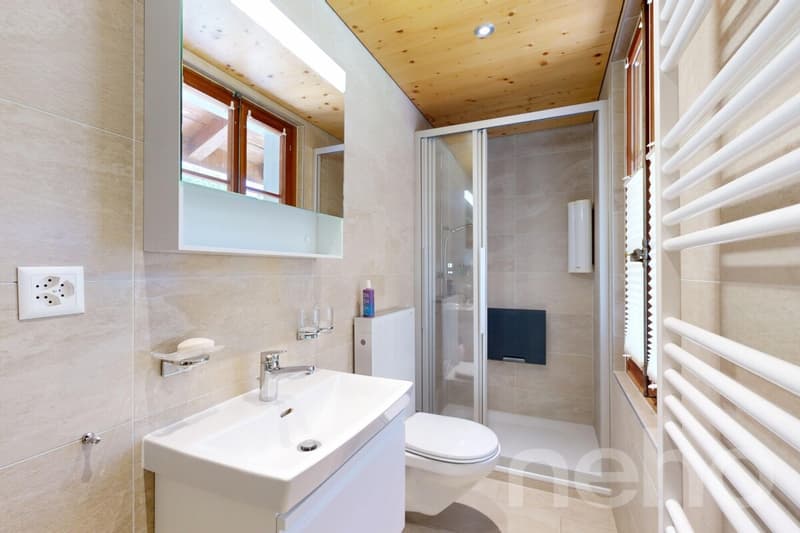 Chalet di carattere: giardino bucolico e potenziale raro (10)