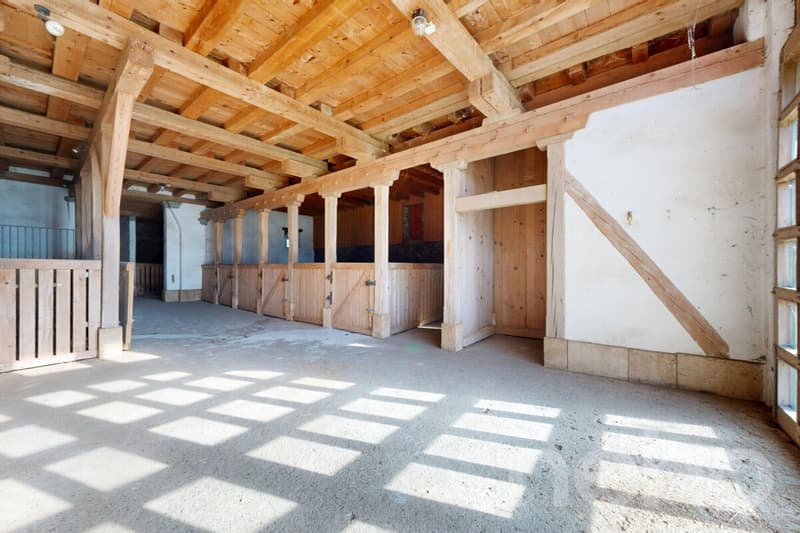 Rare opportunity to create several apartments (8)