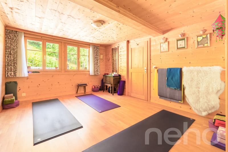 La Bonne Étoile  ? Chalet incluant 3 parcelles constructibles (8)