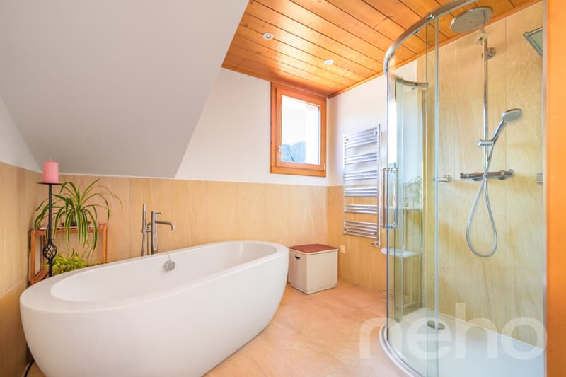 La Bonne Étoile  ? Chalet incluant 3 parcelles constructibles (9)