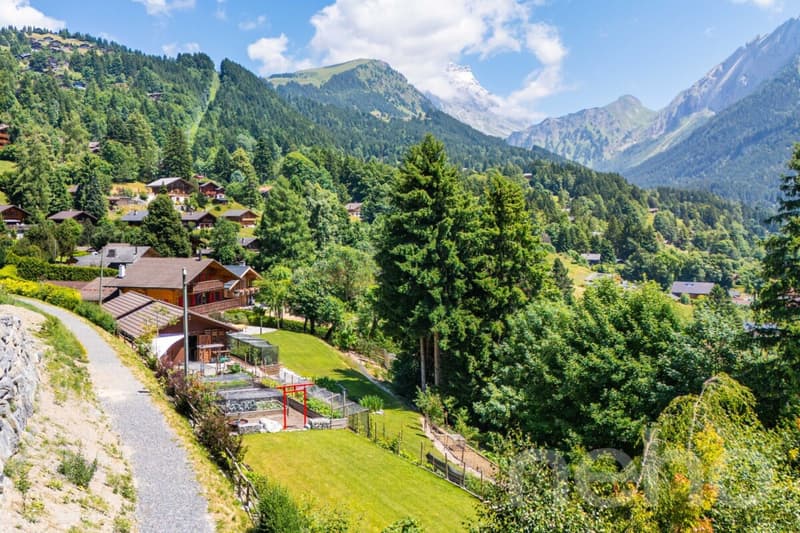 La Bonne Étoile  ? Chalet incluant 3 parcelles constructibles (11)