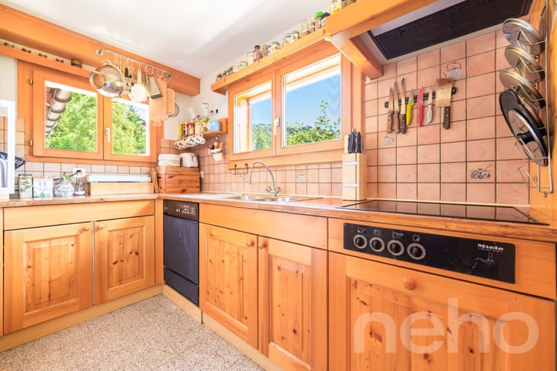 La Bonne Étoile  ? Chalet incluant 3 parcelles constructibles (4)