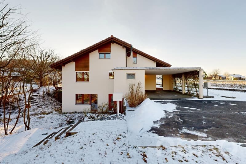 Grande maison unifamiliale avec jardin, serre et grand potentiel (3)